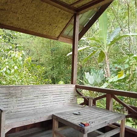 Thousand Hills Ketambe ,Room And Treking Lhokuenam Esterno foto