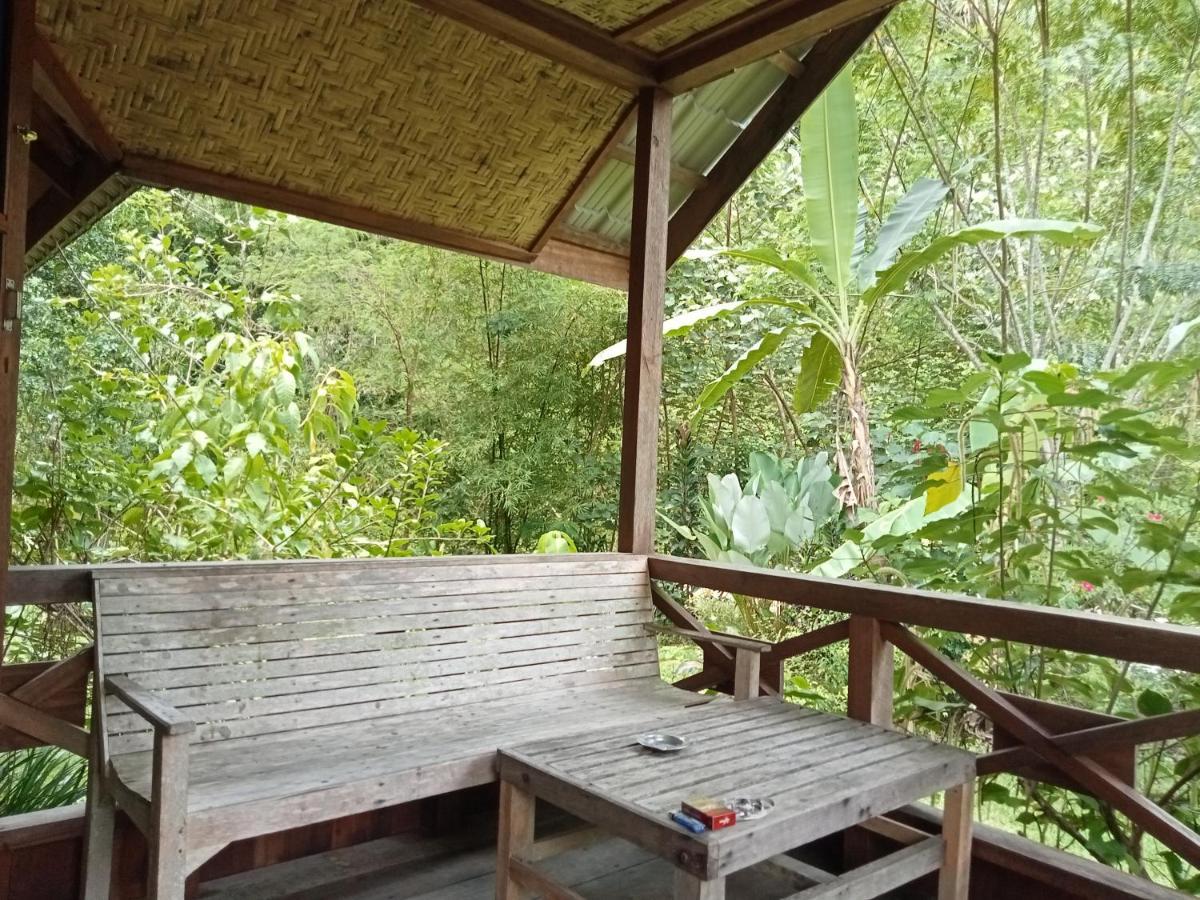 Thousand Hills Ketambe ,Room And Treking Lhokuenam Esterno foto