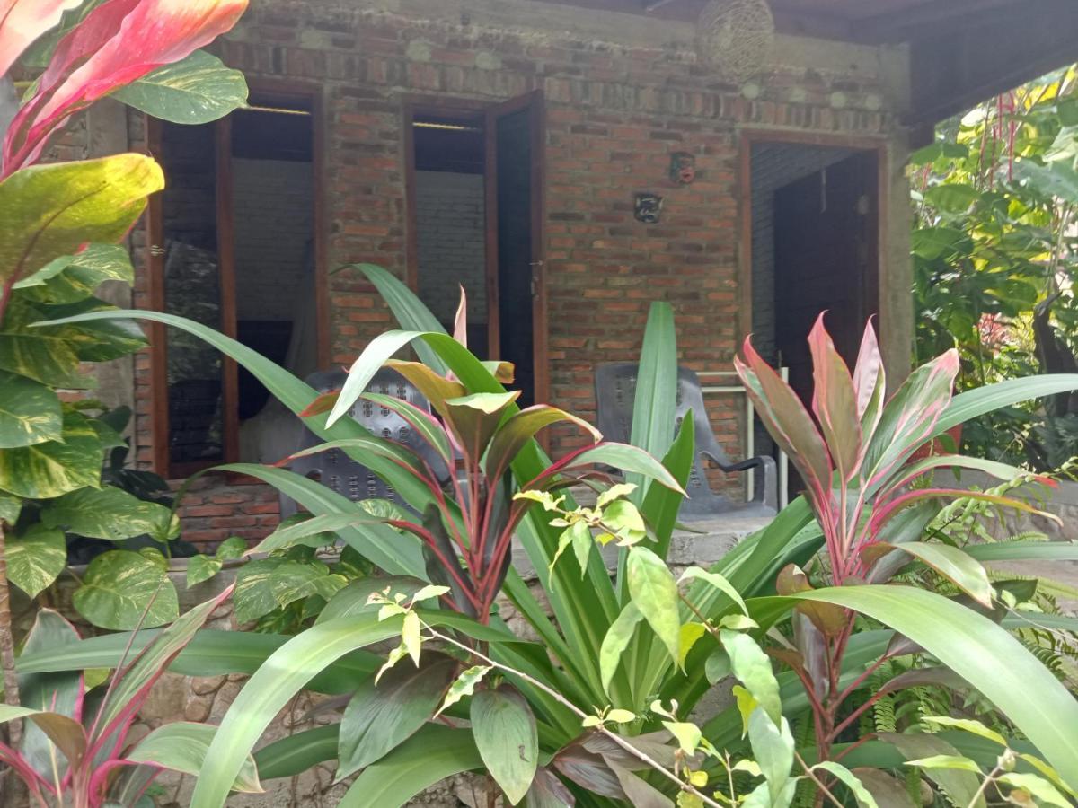 Thousand Hills Ketambe ,Room And Treking Lhokuenam Esterno foto