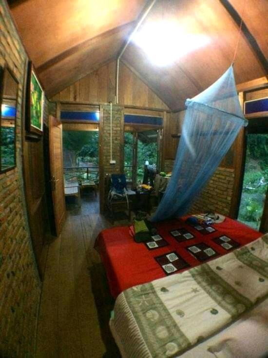 Thousand Hills Ketambe ,Room And Treking Lhokuenam Esterno foto