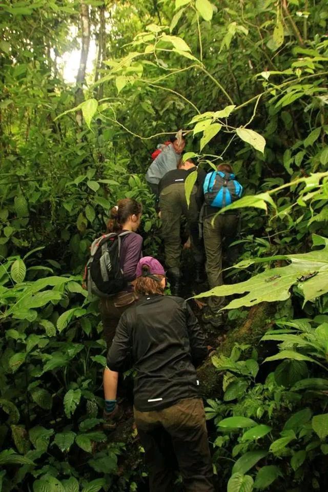 Thousand Hills Ketambe ,Room And Treking Lhokuenam Esterno foto